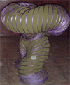 The Dancing Worm