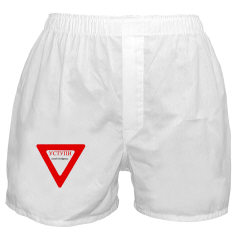 Men's Boxer Shorts/ 